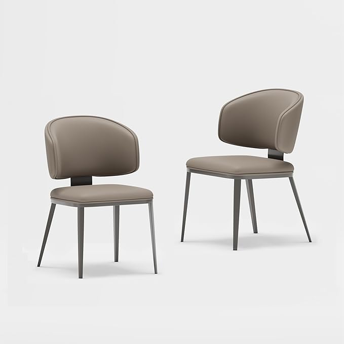 Dining Chairs Set of 2 Modern High Backrest Comfortable, Fashion Upholstered Kitchen Room Chairs with Metal Legs for Living Room (Milk Coffee of 2)