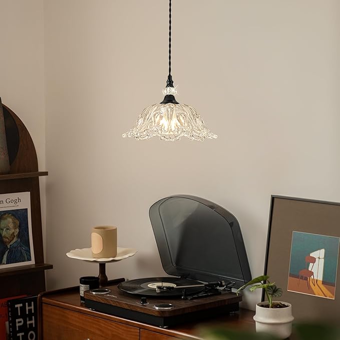 1 Piece Black Chandelier Light Fixtures with Glass Shade, Black Farmhouse Pendant Light,Hanging Light for Kitchen Island Room,Hallway,Living Room,Bedroom