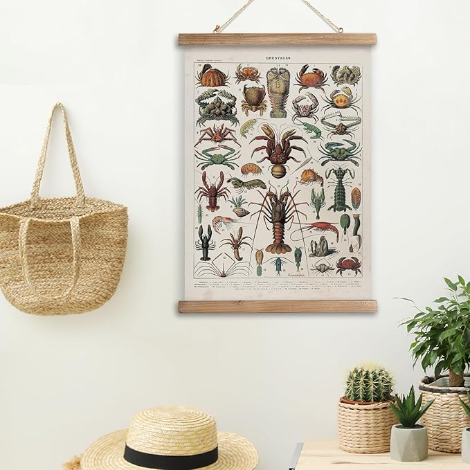XIAOAIKA Antique Crustacean Species Poster - Vintage Detailed Seafood Illustration Chart with Wooden Frame - Educational Wall Art for Seafood Enthusiasts, Chefs, and Classrooms 12 x 16 Inches