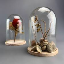 Glass cloche domes