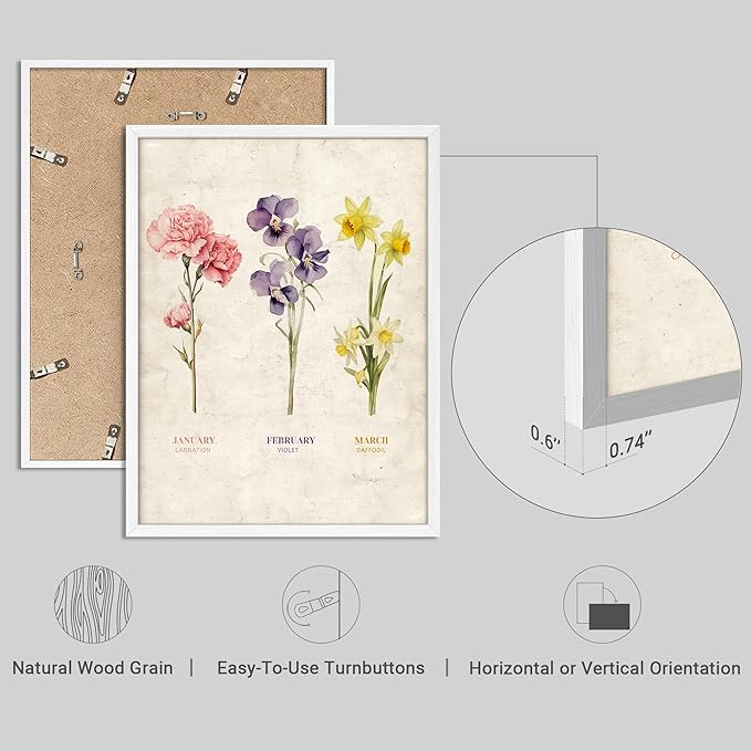 SIGNWIN Framed Set Vintage Floral Birth Month Botanical Prints Antique Flower Illustrations Modern Art Decorative Scenic Multicolor Nature Wilderness for Bedroom - 12"x16"x4 White