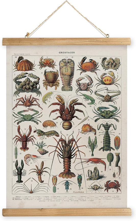 XIAOAIKA Antique Crustacean Species Poster - Vintage Detailed Seafood Illustration Chart with Wooden Frame - Educational Wall Art for Seafood Enthusiasts, Chefs, and Classrooms 16 x 23 Inches