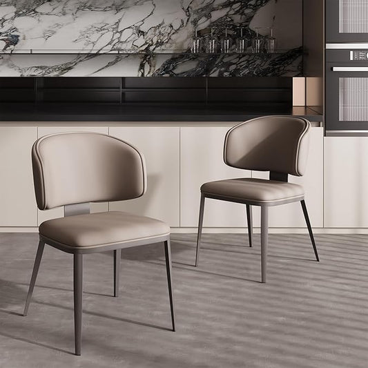 Dining Chairs Set of 2 Modern High Backrest Comfortable, Fashion Upholstered Kitchen Room Chairs with Metal Legs for Living Room (Milk Coffee of 2)