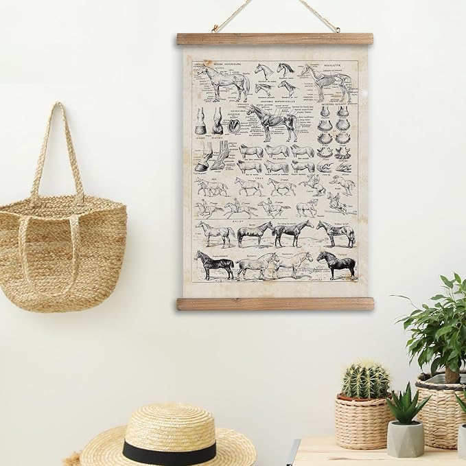 XIAOAIKA Antique-Style Equine Anatomy Chart - Vintage Horse Illustrations Wall Art with Wooden Scroll Frame - Equestrian-Themed Home Decor, Ideal for Horse Lovers and Educators 20 x 30 Inches