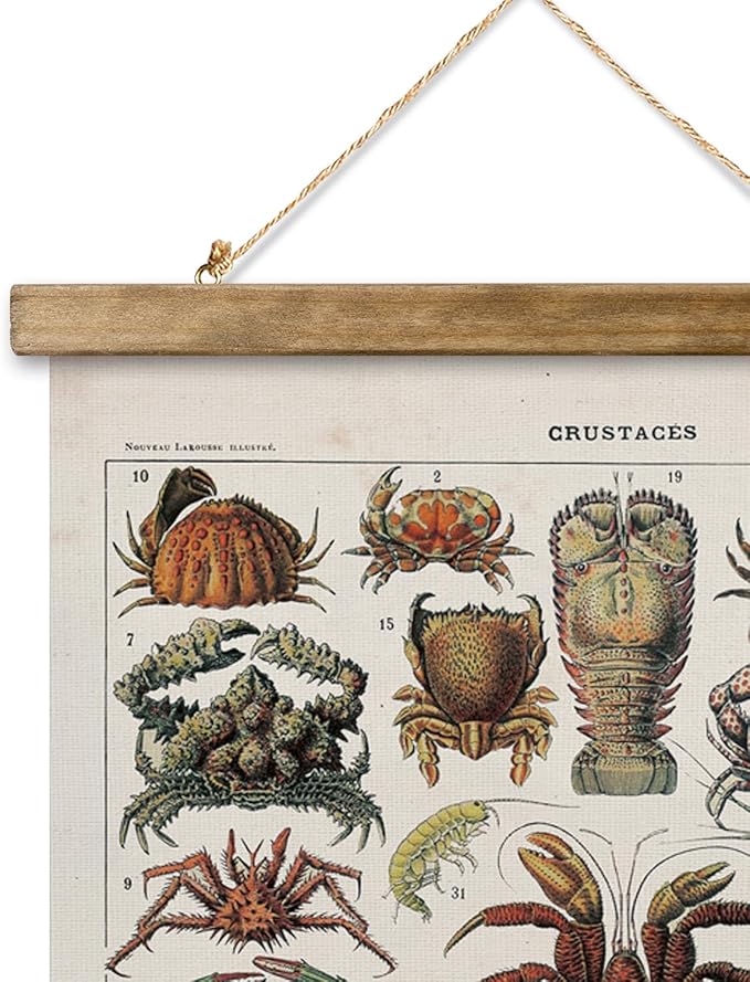XIAOAIKA Antique Crustacean Species Poster - Vintage Detailed Seafood Illustration Chart with Wooden Frame - Educational Wall Art for Seafood Enthusiasts, Chefs, and Classrooms 16 x 23 Inches