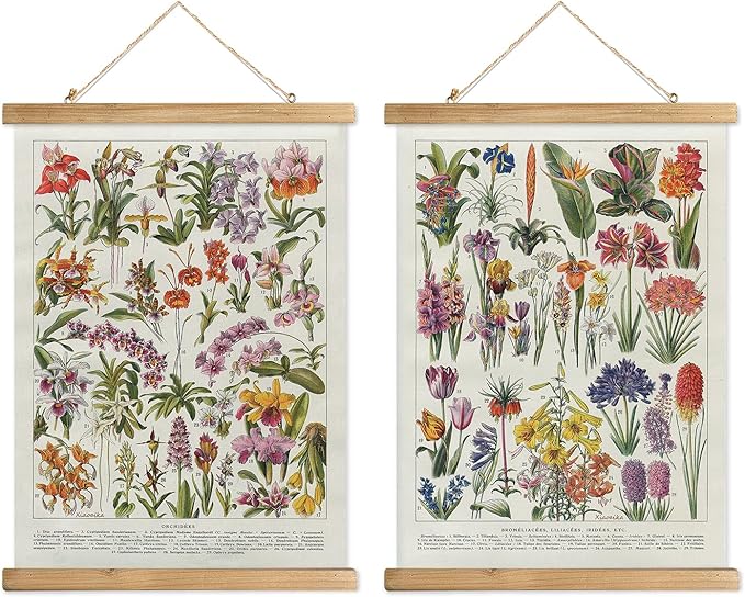 XIAOAIKA Botanical Floral Wall Art Prints - Set of 2, Antique Flower Illustration Posters with Wooden Hanging Frames, Vintage Garden Plant Decor 16 x 23 Inches