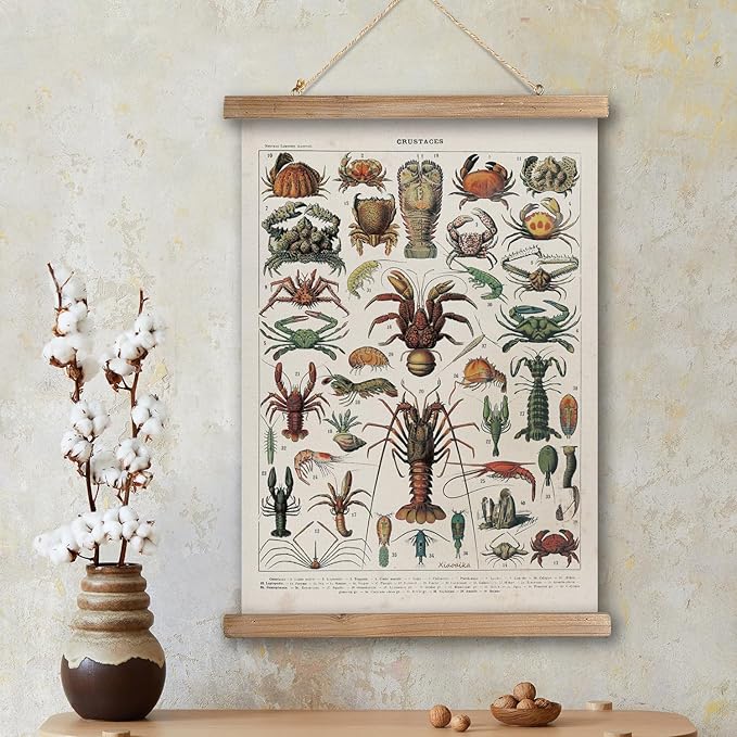 XIAOAIKA Antique Crustacean Species Poster - Vintage Detailed Seafood Illustration Chart with Wooden Frame - Educational Wall Art for Seafood Enthusiasts, Chefs, and Classrooms 16 x 23 Inches